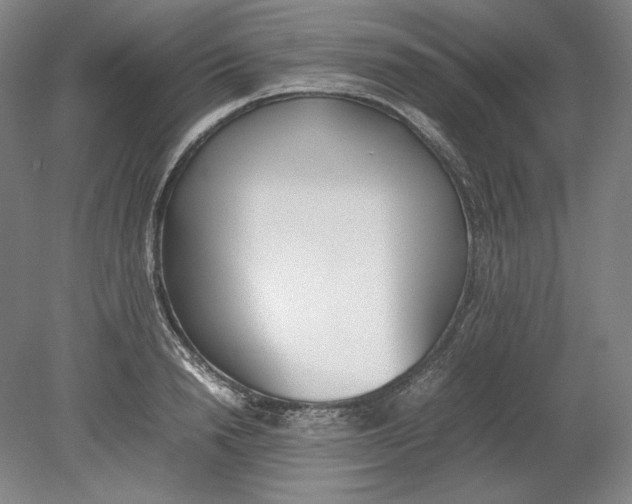X0000080780846200701051325