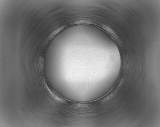 X0000080780849200701051325