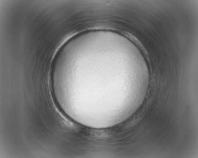 X0000080780855200701051326