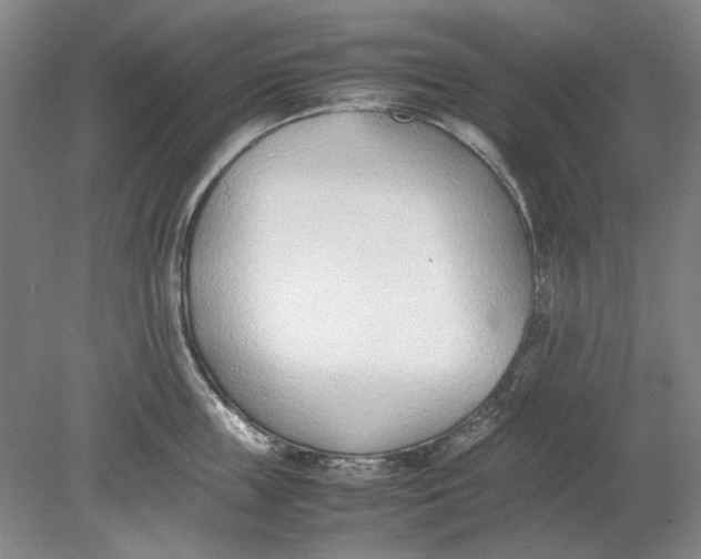 X0000080780859200701051326