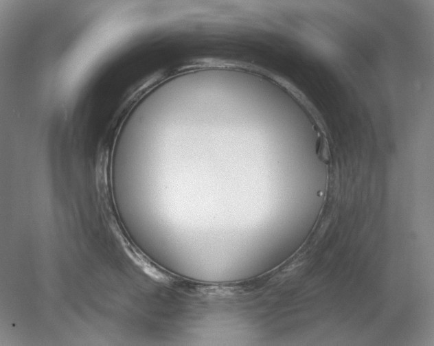 X0000080780862200701051326