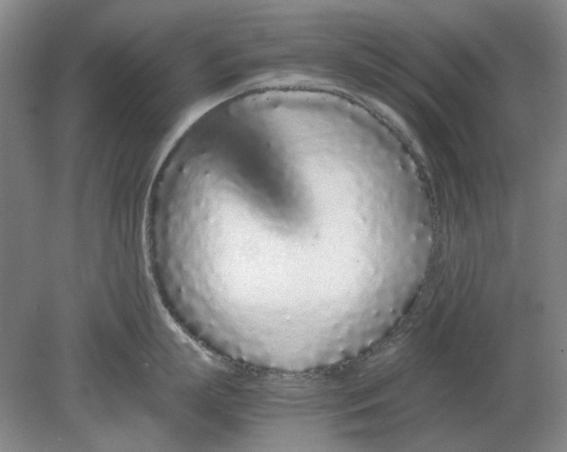 X0000080780863200701051326