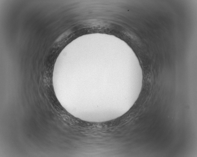 X0000080780869200701051325