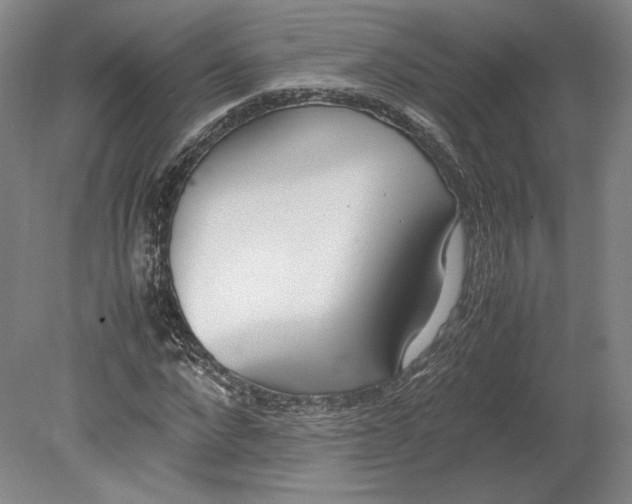 X0000080780872200701051325