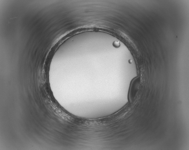 X0000080780876200701051325