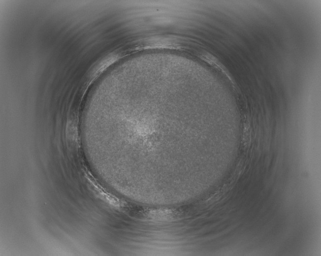 X0000080780882200701051325