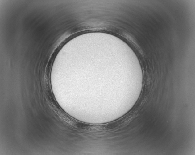 X0000080780883200701051325