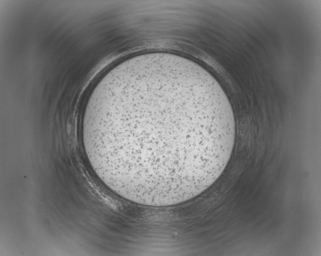 X0000080780886200701051325