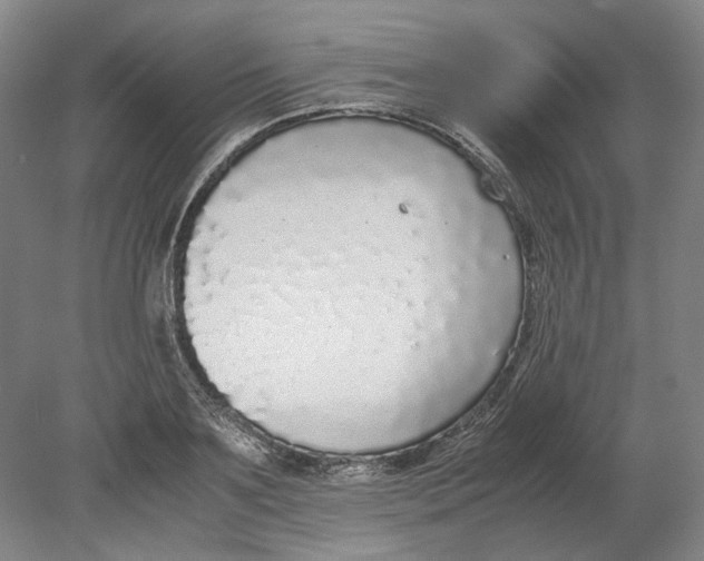 X0000080780891200701051325