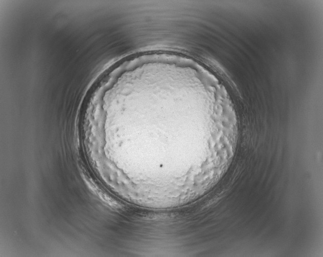 X0000080780892200701051324