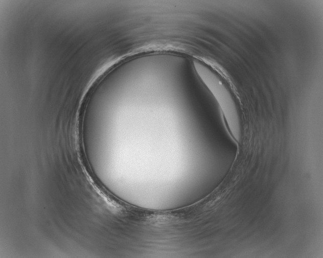 X0000080780894200701051324