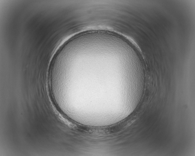 X0000080780895200701051324