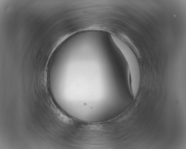 X0000080780900200701051324