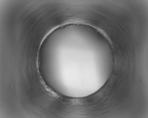 X0000080780904200701051324