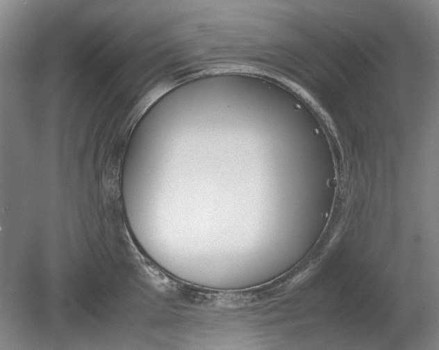 X0000080780905200701051324