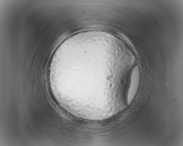 X0000080780907200701051324