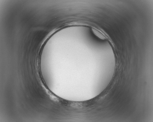 X0000080780909200701051324