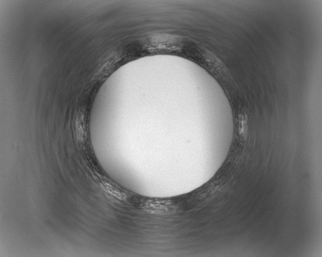 X0000080780915200701051323