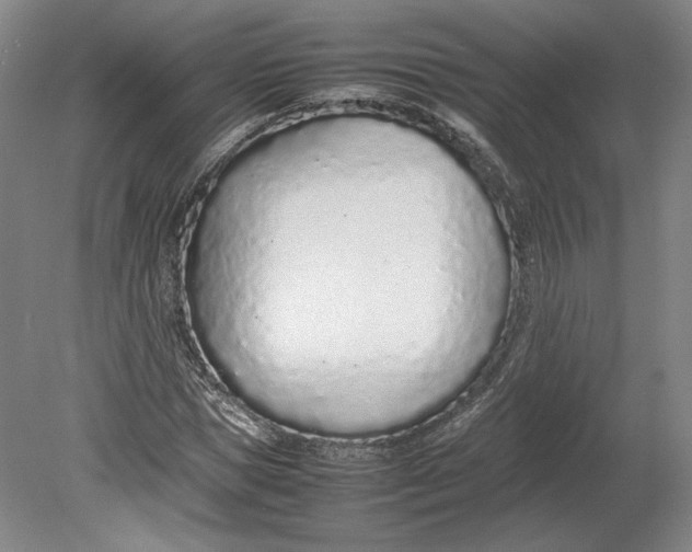 X0000080780921200701051323