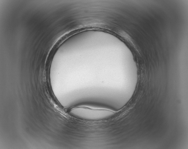X0000080780924200701051324