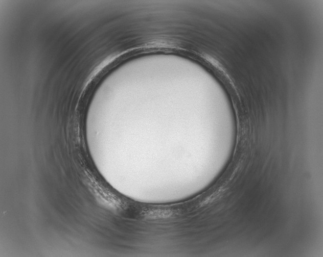 X0000080780925200701051324