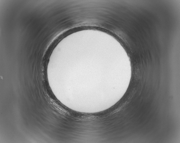 X0000080780926200701051324