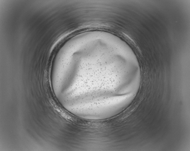X0000080780928200701051324