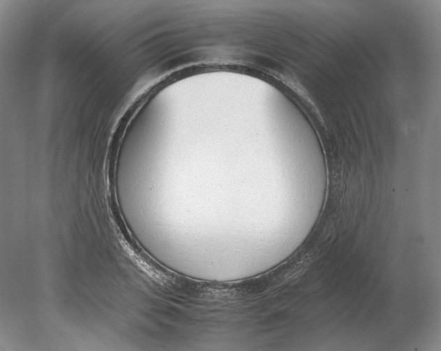 X0000080780935200701051324