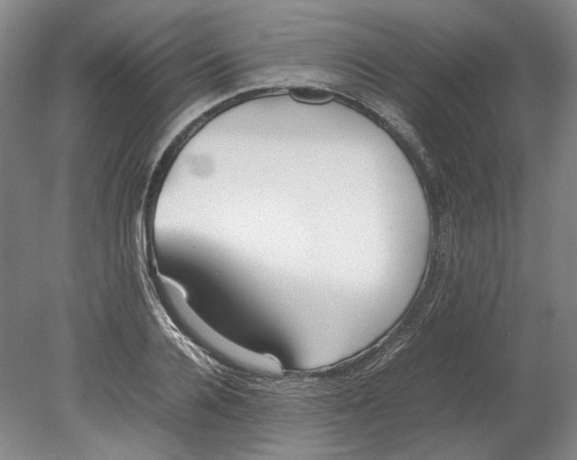 X0000080780936200701051324