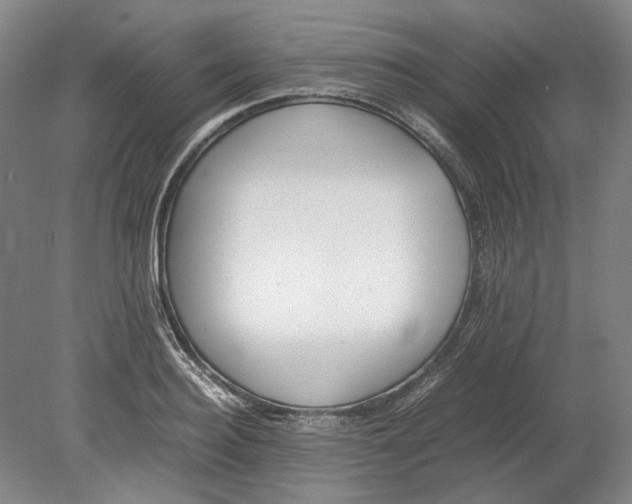 X0000080780940200701051324