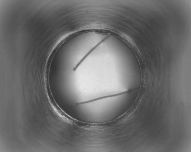 X0000080780942200701051324