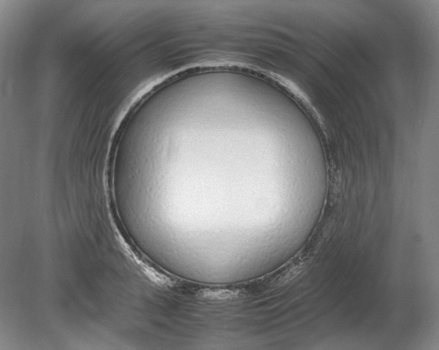 X0000080780943200701051324
