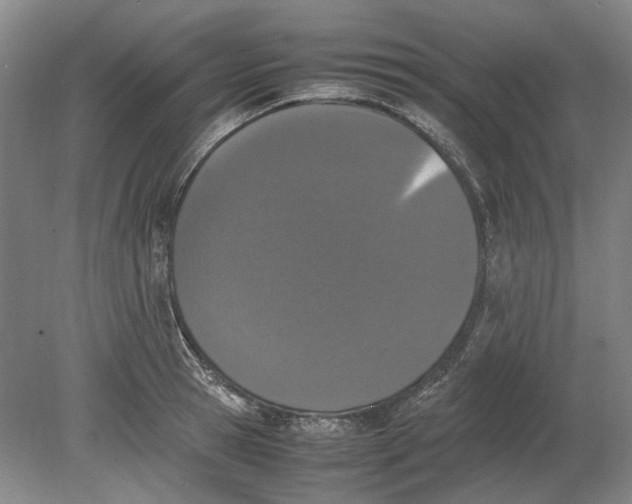 X0000080780945200701051324