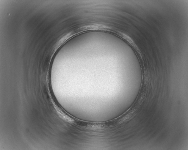 X0000080780946200701051324