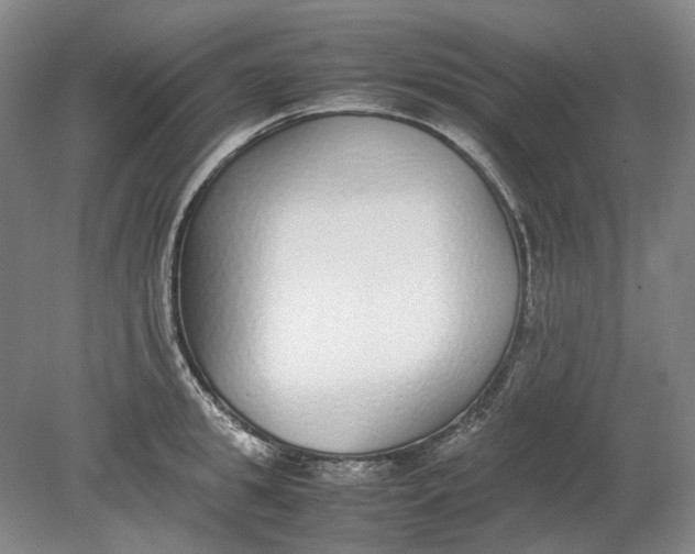 X0000080780949200701051324