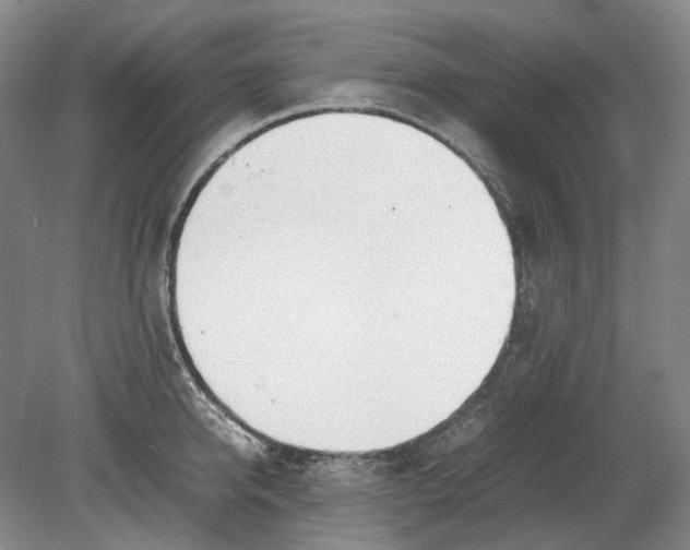 X0000080780950200701051324