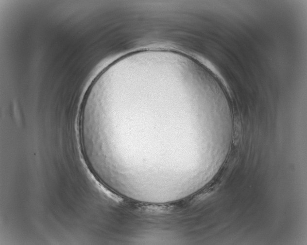 X0000080780959200701051324
