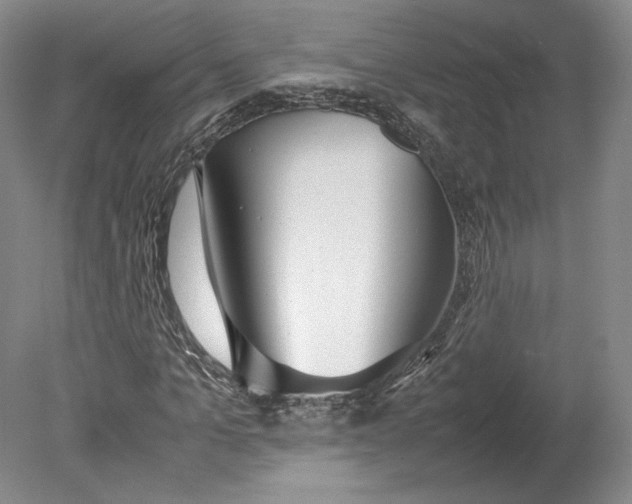 X0000080780965200701051323