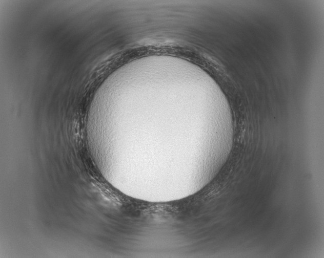X0000080780966200701051323
