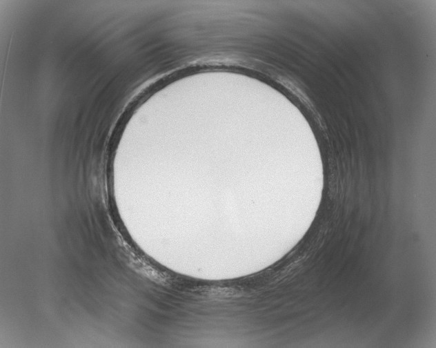 X0000080780984200701051323