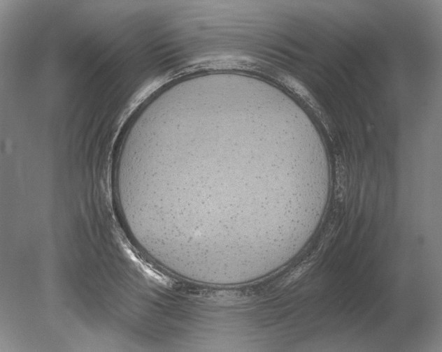 X0000080780986200701051323