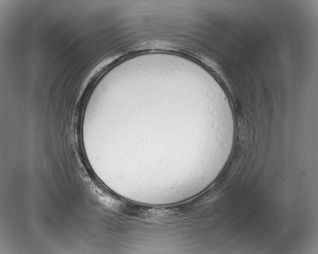 X0000080780987200701051323