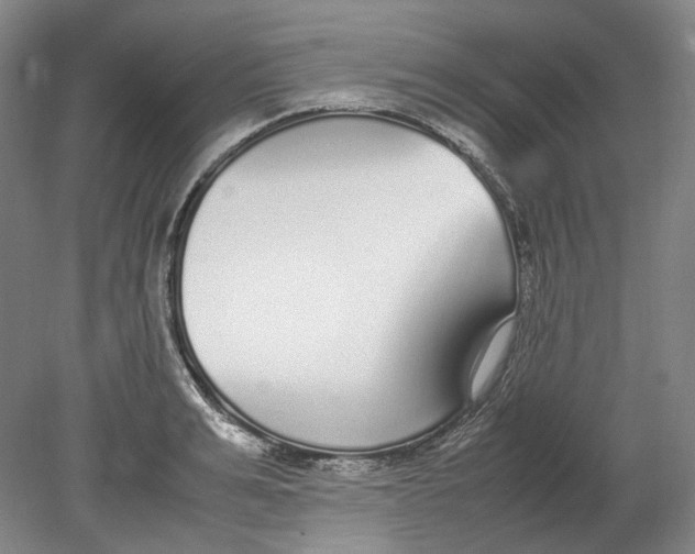 X0000080780991200701051323