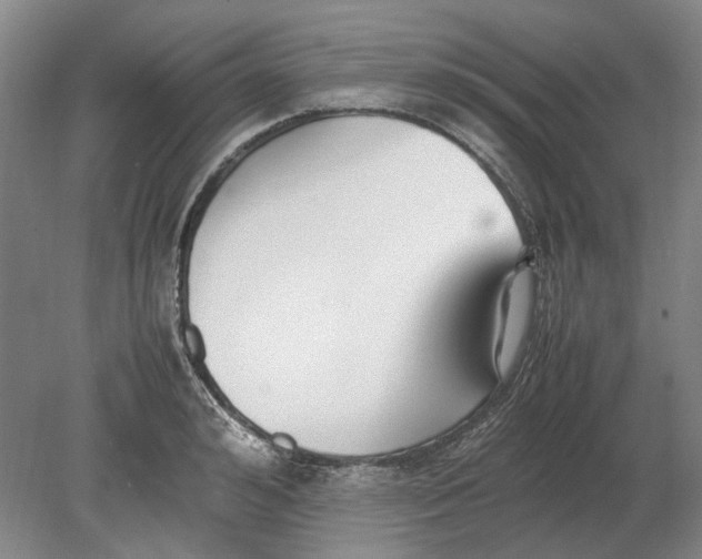 X0000080780992200701051323