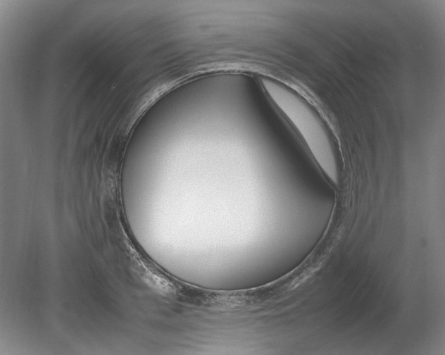 X0000080780993200701051323