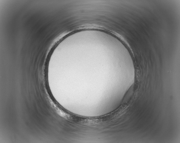X0000080780995200701051323