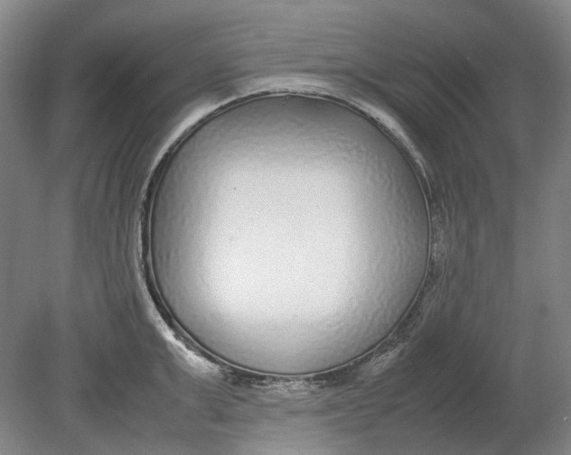 X0000080780999200701051323