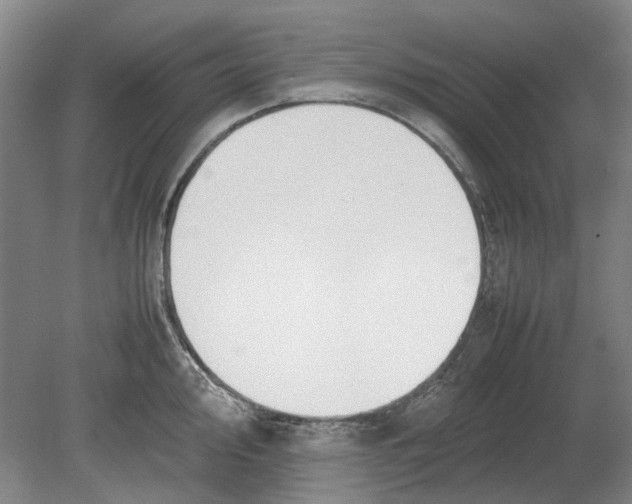 X0000080781000200701051323
