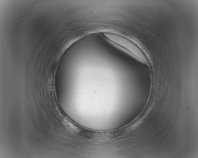 X0000080781001200701051323