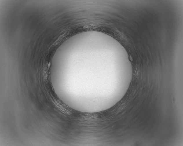 X0000080781012200701051322